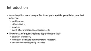 Introduction
• Neurotrophins are a unique family of polypeptide growth factors that
influence
• proliferation,
• differentiation,
• survival,
• death of neuronal and nonneuronal cells.
• The effects of neurotrophins depend upon their
• Levels of availability,
• Affinity of binding to transmembrane receptors,
• The downstream signaling cascades.