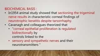 BIOCHEMICAL BASIS :
• In1954 animal study showed that sectioning the trigeminal
nerve results in characteristic corneal findings of
neurotrophic keratitis despite tarsorrhaphy.
• Cavanagh and colleagues theorized that
• “corneal epithelial proliferation is regulated
bidirectionally by
controls linked to the
• sensory and sympathetic nerves and their
neurotransmitters “
 