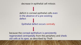 decrease in epithelial cell mitosis
deficit in corneal epithelial cells even
in the absence of a pre-existing
defect
Epithelial defect occurs centrally
because the corneal epithelium is persistently
regenerated centripetally from the periphery and sheds
old cells at its apex, as described by Thoft
 