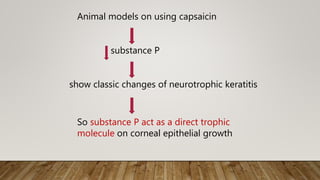 Animal models on using capsaicin
substance P
show classic changes of neurotrophic keratitis
So substance P act as a direct trophic
molecule on corneal epithelial growth
 