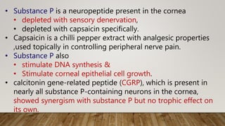 • Substance P is a neuropeptide present in the cornea
• depleted with sensory denervation,
• depleted with capsaicin specifically.
• Capsaicin is a chilli pepper extract with analgesic properties
,used topically in controlling peripheral nerve pain.
• Substance P also
• stimulate DNA synthesis &
• Stimulate corneal epithelial cell growth.
• calcitonin gene-related peptide (CGRP), which is present in
nearly all substance P-containing neurons in the cornea,
showed synergism with substance P but no trophic effect on
its own.
 