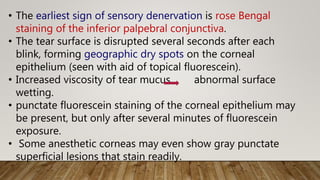 • The earliest sign of sensory denervation is rose Bengal
staining of the inferior palpebral conjunctiva.
• The tear surface is disrupted several seconds after each
blink, forming geographic dry spots on the corneal
epithelium (seen with aid of topical fluorescein).
• Increased viscosity of tear mucus abnormal surface
wetting.
• punctate fluorescein staining of the corneal epithelium may
be present, but only after several minutes of fluorescein
exposure.
• Some anesthetic corneas may even show gray punctate
superficial lesions that stain readily.
 