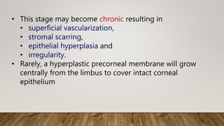 • This stage may become chronic resulting in
• superficial vascularization,
• stromal scarring,
• epithelial hyperplasia and
• irregularity.
• Rarely, a hyperplastic precorneal membrane will grow
centrally from the limbus to cover intact corneal
epithelium
 