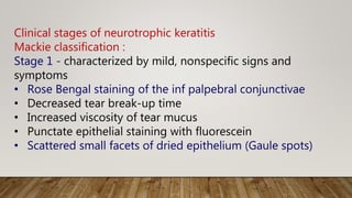 Clinical stages of neurotrophic keratitis
Mackie classification :
Stage 1 - characterized by mild, nonspecific signs and
symptoms
• Rose Bengal staining of the inf palpebral conjunctivae
• Decreased tear break-up time
• Increased viscosity of tear mucus
• Punctate epithelial staining with fluorescein
• Scattered small facets of dried epithelium (Gaule spots)
 