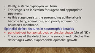 • Rarely, a sterile hypopyon will form
• This stage is an indication for urgent and appropriate
treatment.
• As this stage persists, the surrounding epithelial cells
become hazy, edematous, and poorly adherent to
Bowman's membrane.
Epithelial defect features in neurotrophic keratitis
• punched-out horizontal, oval, or circular shape (chr of NK )
• The edges of the defect become smooth and rolled as the
defect ages without appreciable epithelial growth.
 