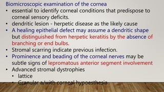 Biomicroscopic examination of the cornea
• essential to identify corneal conditions that predispose to
corneal sensory deficits.
• dendritic lesion - herpetic disease as the likely cause
• A healing epithelial defect may assume a dendritic shape
but distinguished from herpetic keratitis by the absence of
branching or end bulbs.
• Stromal scarring indicate previous infection.
• Prominence and beading of the corneal nerves may be
subtle signs of lepromatous anterior segment involvement
• Advanced stromal dystrophies
• lattice
• Granular a/with corneal hypoesthesia
 