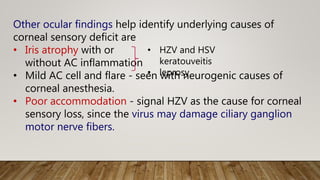Other ocular findings help identify underlying causes of
corneal sensory deficit are
• Iris atrophy with or
without AC inflammation
• Mild AC cell and flare - seen with neurogenic causes of
corneal anesthesia.
• Poor accommodation - signal HZV as the cause for corneal
sensory loss, since the virus may damage ciliary ganglion
motor nerve fibers.
• HZV and HSV
keratouveitis
• leprosy
 