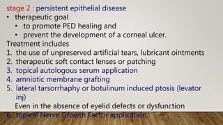 stage 2 : persistent epithelial disease
• therapeutic goal
• to promote PED healing and
• prevent the development of a corneal ulcer.
Treatment includes
1. the use of unpreserved artificial tears, lubricant ointments
2. therapeutic soft contact lenses or patching
3. topical autologous serum application
4. amniotic membrane grafting
5. lateral tarsorrhaphy or botulinum induced ptosis (levator
inj)
Even in the absence of eyelid defects or dysfunction
6. topical Nerve Growth Factor application.
 