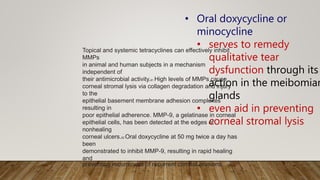 Topical and systemic tetracyclines can effectively inhibit
MMPs
in animal and human subjects in a mechanism
independent of
their antimicrobial activity.81 High levels of MMPs cause
corneal stromal lysis via collagen degradation and injury
to the
epithelial basement membrane adhesion complexes
resulting in
poor epithelial adherence. MMP-9, a gelatinase in corneal
epithelial cells, has been detected at the edges of
nonhealing
corneal ulcers.82 Oral doxycycline at 50 mg twice a day has
been
demonstrated to inhibit MMP-9, resulting in rapid healing
and
preventing recurrences of recurrent corneal erosions
• Oral doxycycline or
minocycline
• serves to remedy
qualitative tear
dysfunction through its
action in the meibomian
glands
• even aid in preventing
corneal stromal lysis
 