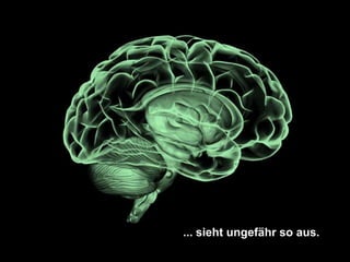 ... sieht ungefähr so aus.