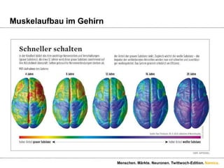 Muskelaufbau im GehirnMenschen. Märkte. Neuronen. Twittwoch-Edition.