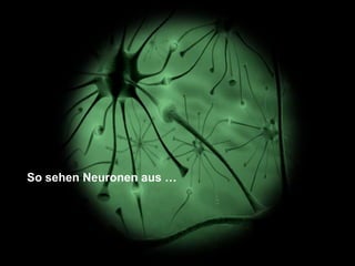 Wie wird’s gemessen?MenschWirkungWerbungMenschen. Märkte. Neuronen. Twittwoch-Edition.