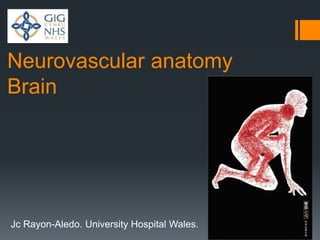 Neurovascular anatomy
Brain
Jc Rayon-Aledo. University Hospital Wales.
 