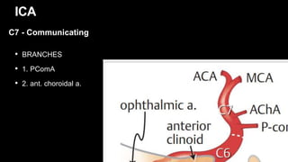 • BRANCHES
• 1. PComA
• 2. ant. choroidal a.
ICA
C7 - Communicating
 