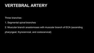VERTEBRAL ARTERY
Three branches:
1. Segmental spinal branches
2. Muscular branch anastomoses with muscular branch of ECA (ascending
pharyngeal, thyrocervical, and costocervical)
 
