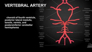 VERTEBRAL ARTERY
choroid of fourth ventricle,
posterior lateral medulla,
tonsils, vermis, and
posteroinferior cerebellar
hemispheres
 