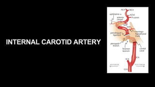 INTERNAL CAROTID ARTERY
 