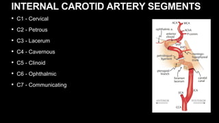• C1 - Cervical
• C2 - Petrous
• C3 - Lacerum
• C4 - Cavernous
• C5 - Clinoid
• C6 - Ophthalmic
• C7 - Communicating
INTERNAL CAROTID ARTERY SEGMENTS
 