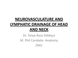 NEUROVASCULATURE AND
LYMPHATIC DRAINAGE OF HEAD
         AND NECK
     Dr. Tanya Raza Siddiqui
    M. Phil Canidate- Anatomy
               ZMU
 