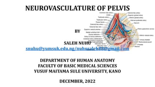 NEUROVASCULATURE OF PELVIS
BY
SALEH NUHU
snuhu@yumsuk.edu.ng/nuhusaleh88@gmail.com
DEPARTMENT OF HUMAN ANATOMY
FACULTY OF BASIC MEDICAL SCIENCES
YUSUF MAITAMA SULE UNIVERSITY, KANO
DECEMBER, 2022
 