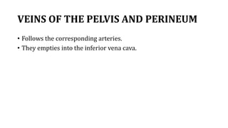 VEINS OF THE PELVIS AND PERINEUM
• Follows the corresponding arteries.
• They empties into the inferior vena cava.
 