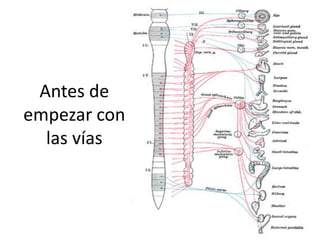 Antes de
empezar con
  las vías
 