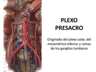 PLEXO
     PRESACRO
Originado del plexo solar, del
mesentérico inferior y ramas
  de los ganglios lumbares
 