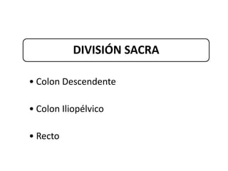 DIVISIÓN SACRA

• Colon Descendente

• Colon Iliopélvico

• Recto
 
