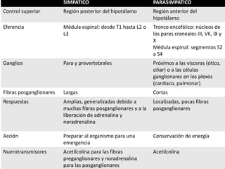 SIMPÁTICO                              PARASIMPÁTICO
Control superior         Región posterior del hipotálamo        Región anterior del
                                                                hipotálamo
Eferencia                Médula espinal: desde T1 hasta L2 o    Tronco encefálico: núcleos de
                         L3                                     los pares craneales III, VII, IX y
                                                                X
                                                                Médula espinal: segmentos S2
                                                                a S4
Ganglios                 Para y prevertebrales                  Próximos a las vísceras (ótico,
                                                                ciliar) o a las células
                                                                ganglionares en los plexos
                                                                (cardiaco, pulmonar)
Fibras posganglionares   Largas                                 Cortas
Respuestas               Amplias, generalizadas debido a        Localizadas, pocas fibras
                         muchas fibras posganglionares y a la   posganglionares
                         liberación de adrenalina y
                         noradrenalina

Acción                   Preparar al organismo para una         Conservación de energía
                         emergencia
Nuerotransmisores        Acetilcolina para las fibras           Acetilcolina
                         preganglionares y noradrenalina
                         para las posganglionares
 