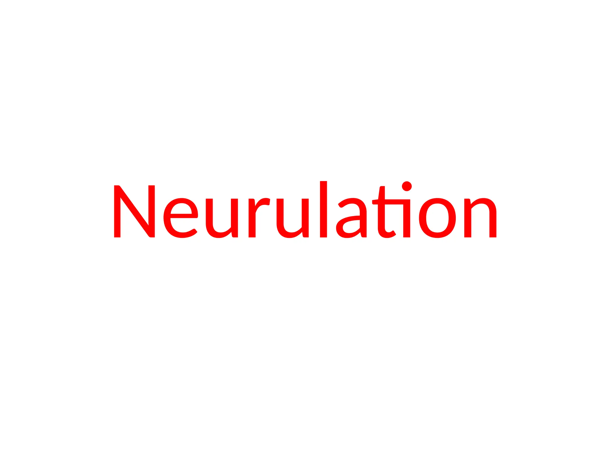 Neurulation
 