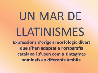 UN MAR DE LLATINISMES Expressionsd’origenmorfològicdivers que s’hanadaptat a l’ortografia catalana i s’usencom a sintagmesnominals en diferentsàmbits. 