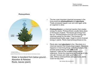 Thanks to eLibrary,
                                                                                    Consolate of USA in Barcelona




                                      •   The two most important chemical processes in the
                                          living world are photosybthesis and glycolysis.
                                          These processes happen over and over again while
                                          an organism is alive.

                                      •   Photosynthesis is a chemical reaction that creates
                                          energy for plants. Photosynthesis usually takes place
                                          in the leaves of plants. The leaves get energy from
                                          the sun. Photosynthesis turns the sun's energy into
                                          chemical energy for the plant. The process of
                                          photosynthesis builds sugar. Sugar is a kind of stored
                                          energy in plants. Plants need photosynthesis to live.

                                      •   Plants also need glycolysis to Neus Lorenzoa
                                                                          live. Glycolysis is
                                          chemical reaction that breaks down sugars. Glycolysis
                                          happens in most living things, including humans.This
                                          process gives energy to the cells in the
                                          organism. Cells are the smallest living parts of
                                          organisms. Some tiny organisms are made up of only
                                          one cell. Humans are made up of billions of
Water is transferd from below ground...   cells. Without photosynthesis and glycolysis, plants
                                          could not stay alive
Absortion & Release
                                                       Ref: eLibrary http://ow.ly/ezvXI
Roots, leaves (plant)                                                                     Neus Lorenzo
 