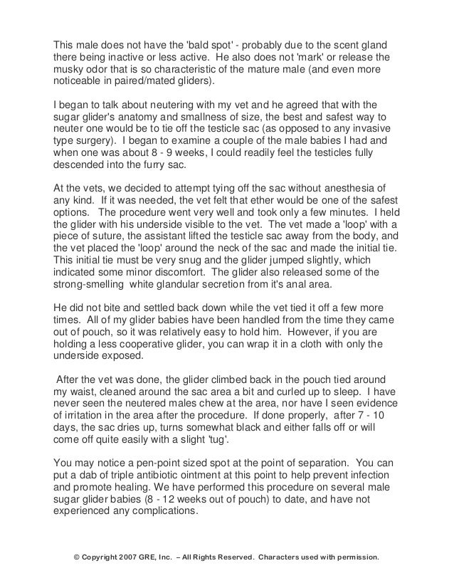 neutering sugar gliders