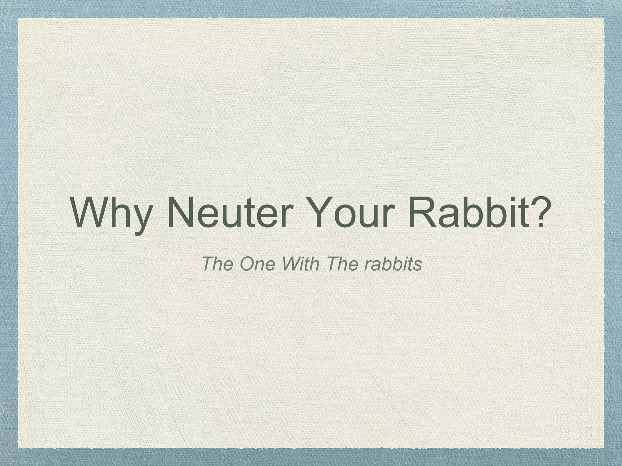 Neutering rabbit | PPTX