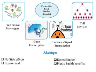 Prevention
From
Health
diseases
Free radical
Scavengers
Enhances Signal
Transduction
Gene
Transcription
Cell
Division
Advantages
 No Side effects
 Economical
Detoxification
Plenty health benefits
 
