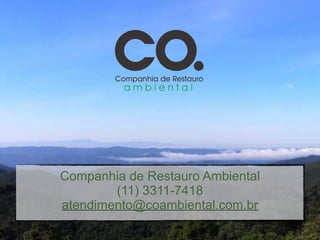Companhia de Restauro Ambiental"
        (11) 3311-7418"
atendimento@coambiental.com.br
 