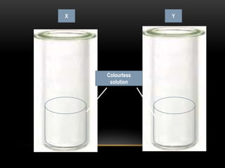 X                Y




    Colourless
     solution
 