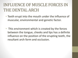 INFLUENCE OF MUSCLE FORCES IN
THE DENTAL ARCH
• Teeth erupt into the mouth under the influence of
muscular, environmental and genetic factor.
• This environment which is created by the forces
between the tongue, cheeks and lips has a definite
influence on the position of the erupting teeth, the
resultant arch form and occlusion.
 