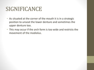 SIGNIFICANCE
• As situated at the corner of the mouth it is in a strategic
position to unseat the lower denture and sometimes the
upper denture too.
• This may occur if the arch form is too wide and restricts the
movement of the modiolus.
 