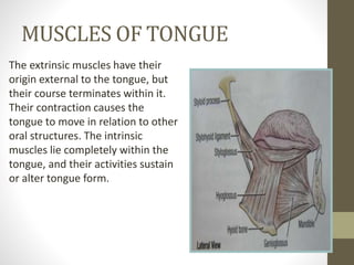 MUSCLES OF TONGUE
The extrinsic muscles have their
origin external to the tongue, but
their course terminates within it.
Their contraction causes the
tongue to move in relation to other
oral structures. The intrinsic
muscles lie completely within the
tongue, and their activities sustain
or alter tongue form.
 