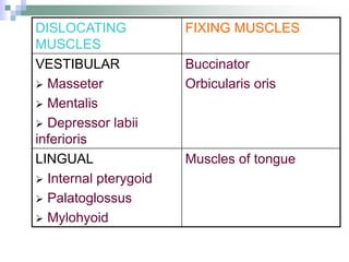 DISLOCATING
MUSCLES
FIXING MUSCLES
VESTIBULAR
 Masseter
 Mentalis
 Depressor labii
inferioris
Buccinator
Orbicularis oris
LINGUAL
 Internal pterygoid
 Palatoglossus
 Mylohyoid
Muscles of tongue
 