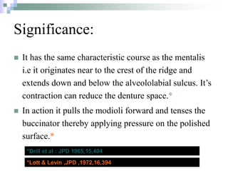 Significance:
 It has the same characteristic course as the mentalis
i.e it originates near to the crest of the ridge and
extends down and below the alveololabial sulcus. It’s
contraction can reduce the denture space.*
 In action it pulls the modioli forward and tenses the
buccinator thereby applying pressure on the polished
surface.*
*Brill et al : JPD 1965,15,404
*Lott & Levin ,JPD ,1972,16,394
 
