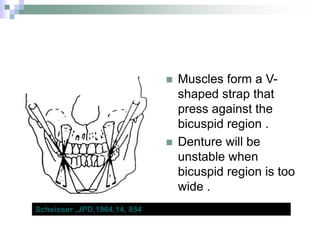  Muscles form a V-
shaped strap that
press against the
bicuspid region .
 Denture will be
unstable when
bicuspid region is too
wide .
Scheisser ,JPD,1964,14, 854
 