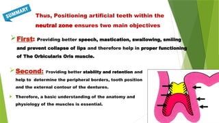 Second: Providing better stability and retention and
help to determine the peripheral borders, tooth position
and the external contour of the dentures.
 Therefore, a basic understanding of the anatomy and
physiology of the muscles is essential.
First: Providing better speech, mastication, swallowing, smiling
and prevent collapse of lips and therefore help in proper functioning
of The Orbicularis Oris muscle.
Thus, Positioning artificial teeth within the
neutral zone ensures two main objectives
 
