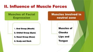 II. Influence of Muscle Forces
Muscles of Facial
Expression
1. Oral Group (Mouth)
2. Orbital Group (Eyes)
3. Nasal Group (Nose)
4. Scalp and Neck
Muscles involved in
neutral zone
Muscles of
Cheeks
Lips and
Tongue
 