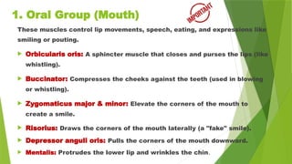 1. Oral Group (Mouth)
 Risorius: Draws the corners of the mouth laterally (a "fake" smile).
 Depressor anguli oris: Pulls the corners of the mouth downward.
 Mentalis: Protrudes the lower lip and wrinkles the chin.
These muscles control lip movements, speech, eating, and expressions like
smiling or pouting.
 Orbicularis oris: A sphincter muscle that closes and purses the lips (like
whistling).
 Buccinator: Compresses the cheeks against the teeth (used in blowing
or whistling).
 Zygomaticus major & minor: Elevate the corners of the mouth to
create a smile.
 