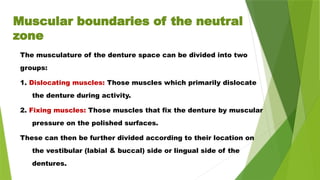 Muscular boundaries of the neutral
zone
The musculature of the denture space can be divided into two
groups:
1. Dislocating muscles: Those muscles which primarily dislocate
the denture during activity.
2. Fixing muscles: Those muscles that fix the denture by muscular
pressure on the polished surfaces.
These can then be further divided according to their location on
the vestibular (labial & buccal) side or lingual side of the
dentures.
 