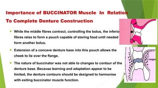  While the middle fibres contract, controlling the bolus, the inferior
fibres relax to form a pouch capable of storing food until needed to
form another bolus.
 Extension of a concave denture base into this pouch allows the
cheek to lie over the flange.
 The nature of buccinator was not able to changes to contour of the
denture base. Because learning and adaptation appear to be
limited, the denture contours should be designed to harmonise
with exiting buccinator muscle function.
Importance of BUCCINATOR Muscle In Relation
To Complete Denture Construction
 