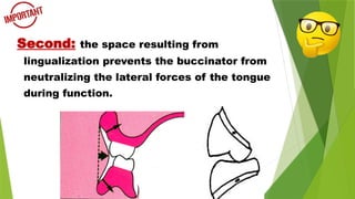 Second: the space resulting from
lingualization prevents the buccinator from
neutralizing the lateral forces of the tongue
during function.
 