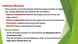 These muscles are located entirely within the tongue and alter its shape
(e.g., curling, flattening, narrowing) for fine articulation.
Superior Longitudinal: Shortens the tongue and curls the tip and
edges upward.
Inferior Longitudinal: Shortens the tongue and curls the tip downward.
Transverse: Lengthens and narrows the tongue.
Vertical: Flattens and broadens the tongue.
Innervation
Almost all tongue muscles are innervated by the Hypoglossal Nerve
(Cranial Nerve XII).
The only exception is the palatoglossus, which is innervated by the
Vagus Nerve (Cranial Nerve X)
Intrinsic Muscles
 